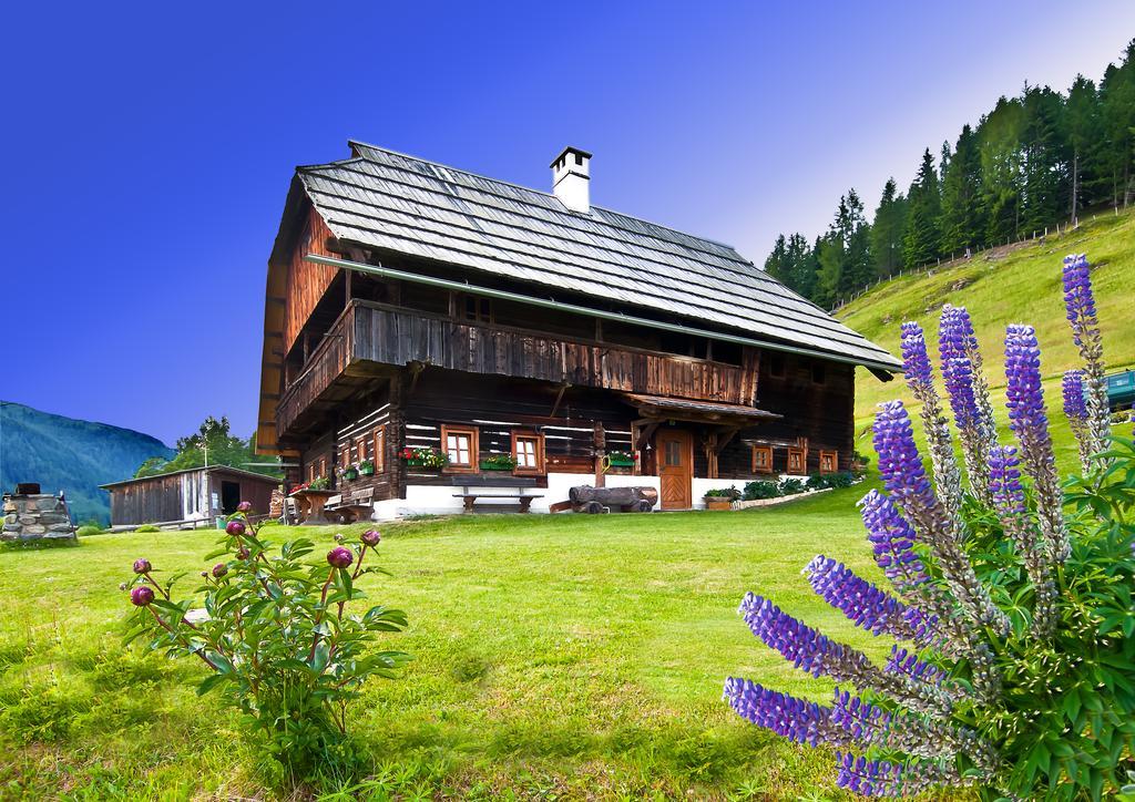 Schrunerhof Ebene Reichenau Pokój zdjęcie