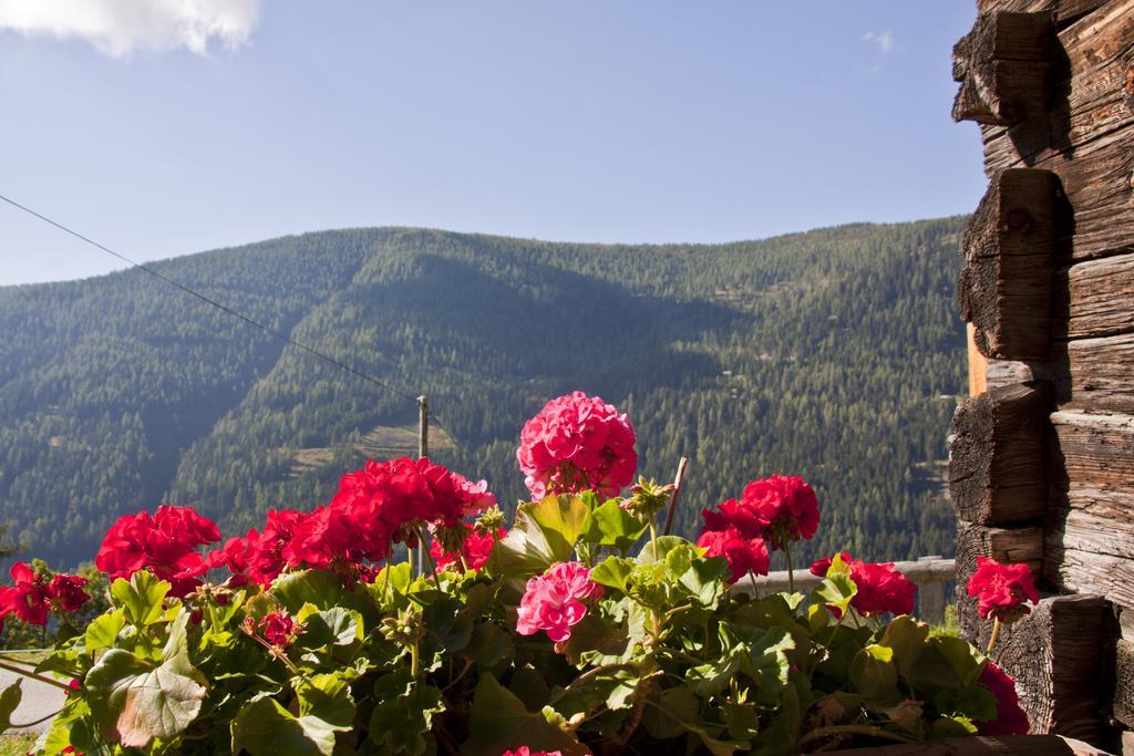 Schrunerhof Ebene Reichenau Pokój zdjęcie