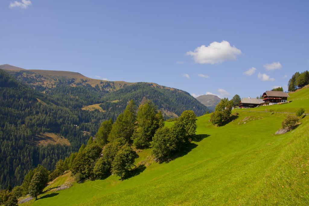 Schrunerhof Ebene Reichenau Pokój zdjęcie