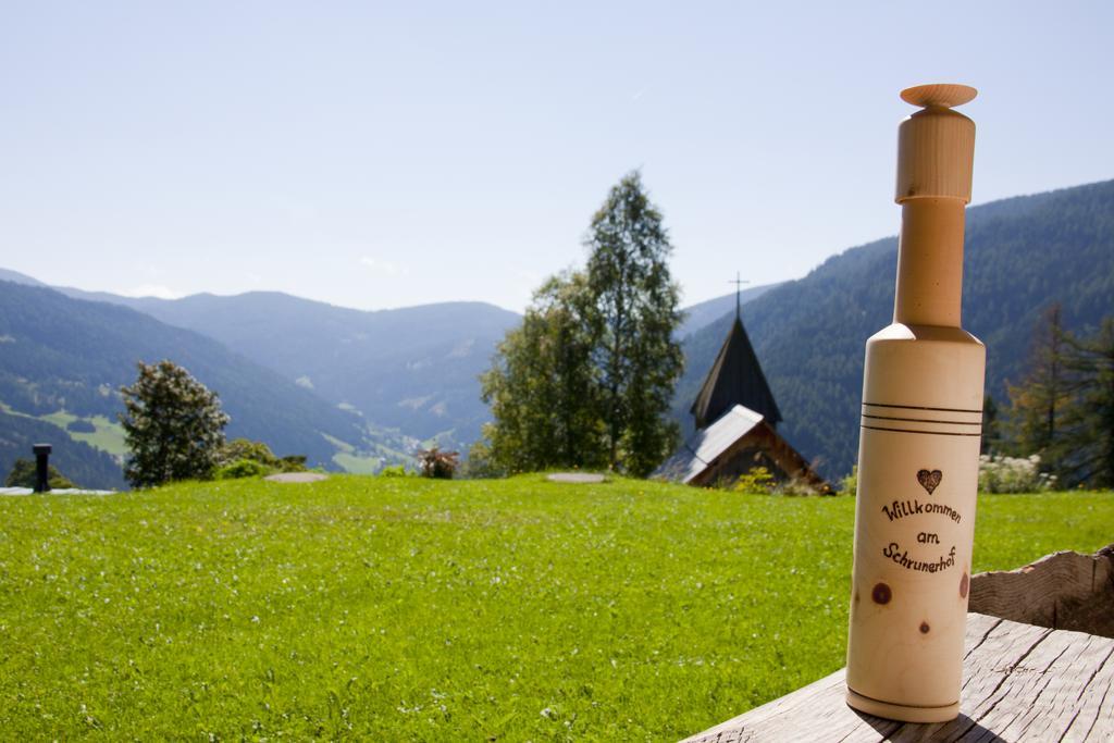 Schrunerhof Ebene Reichenau Pokój zdjęcie