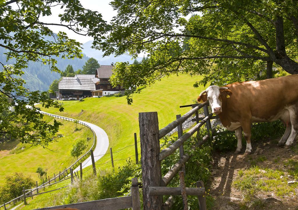 Schrunerhof Ebene Reichenau Zewnętrze zdjęcie