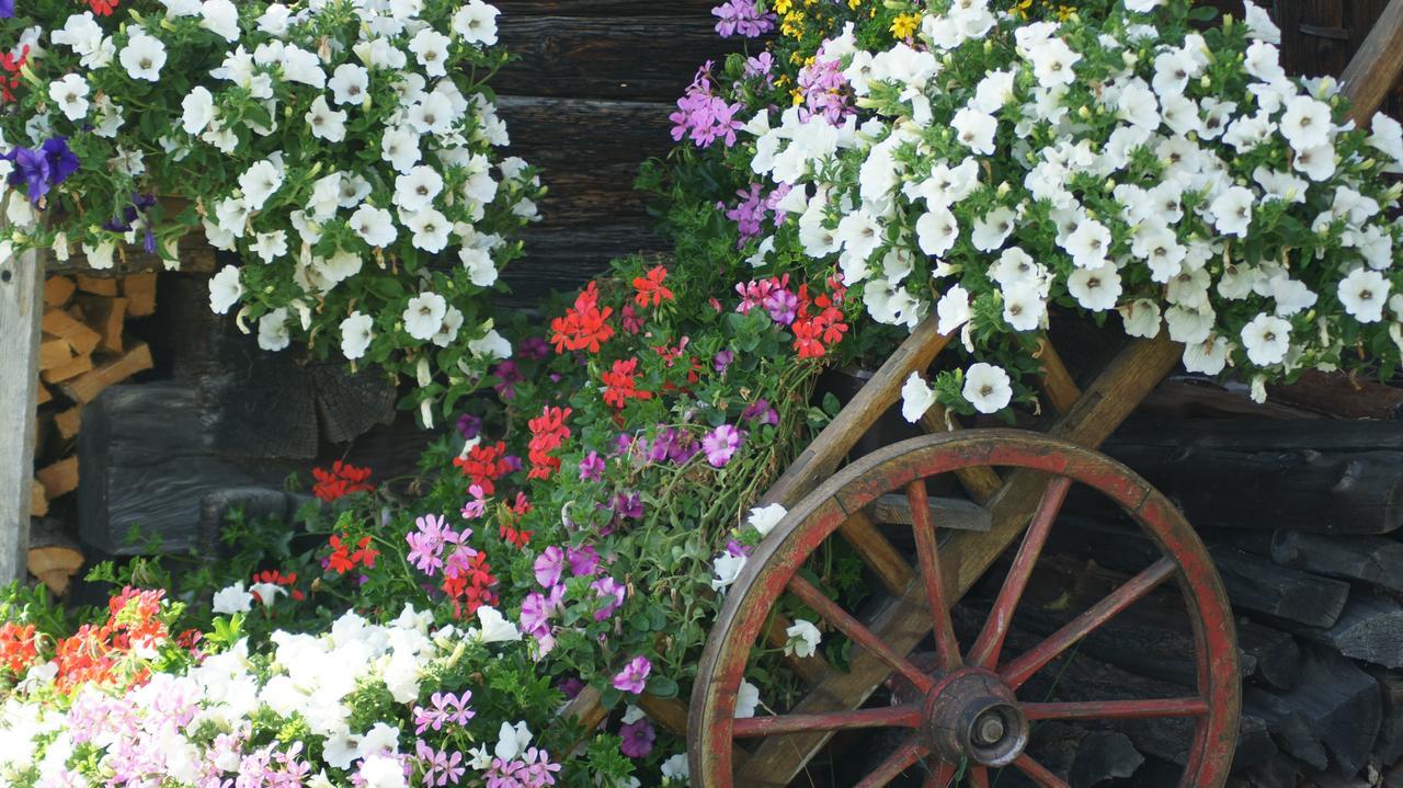 Schrunerhof Ebene Reichenau Zewnętrze zdjęcie