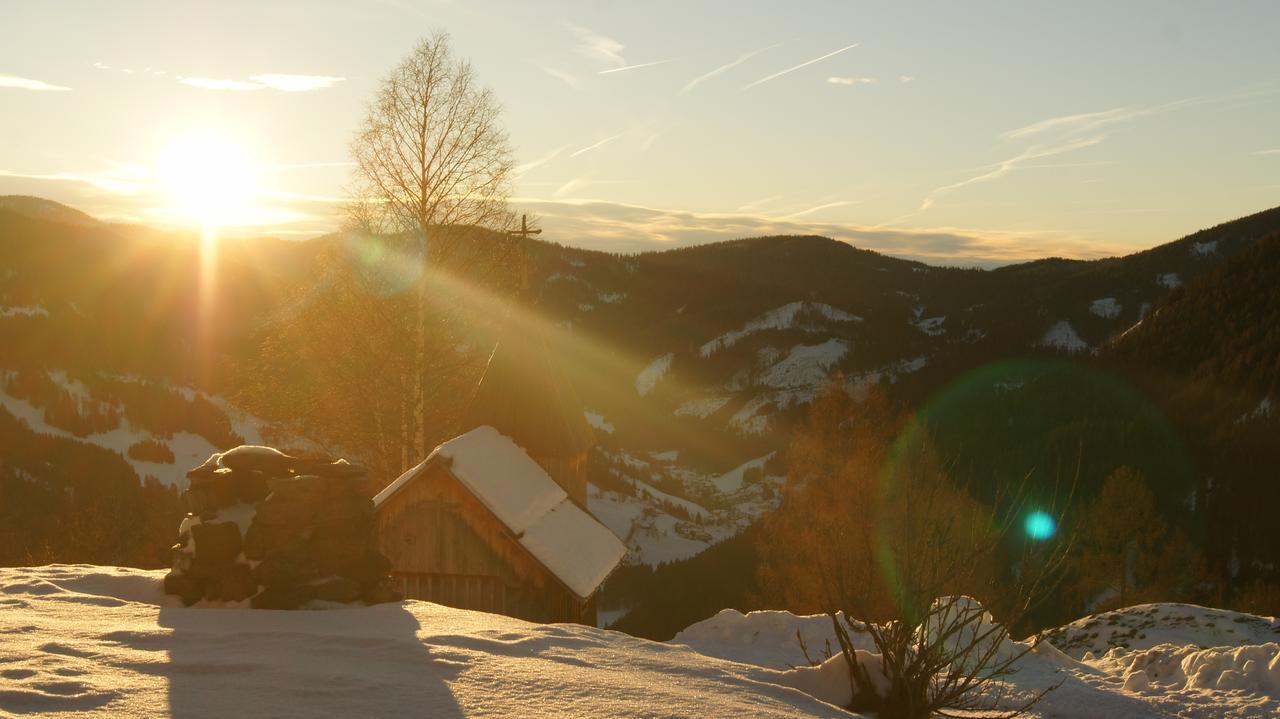 Schrunerhof Ebene Reichenau Zewnętrze zdjęcie
