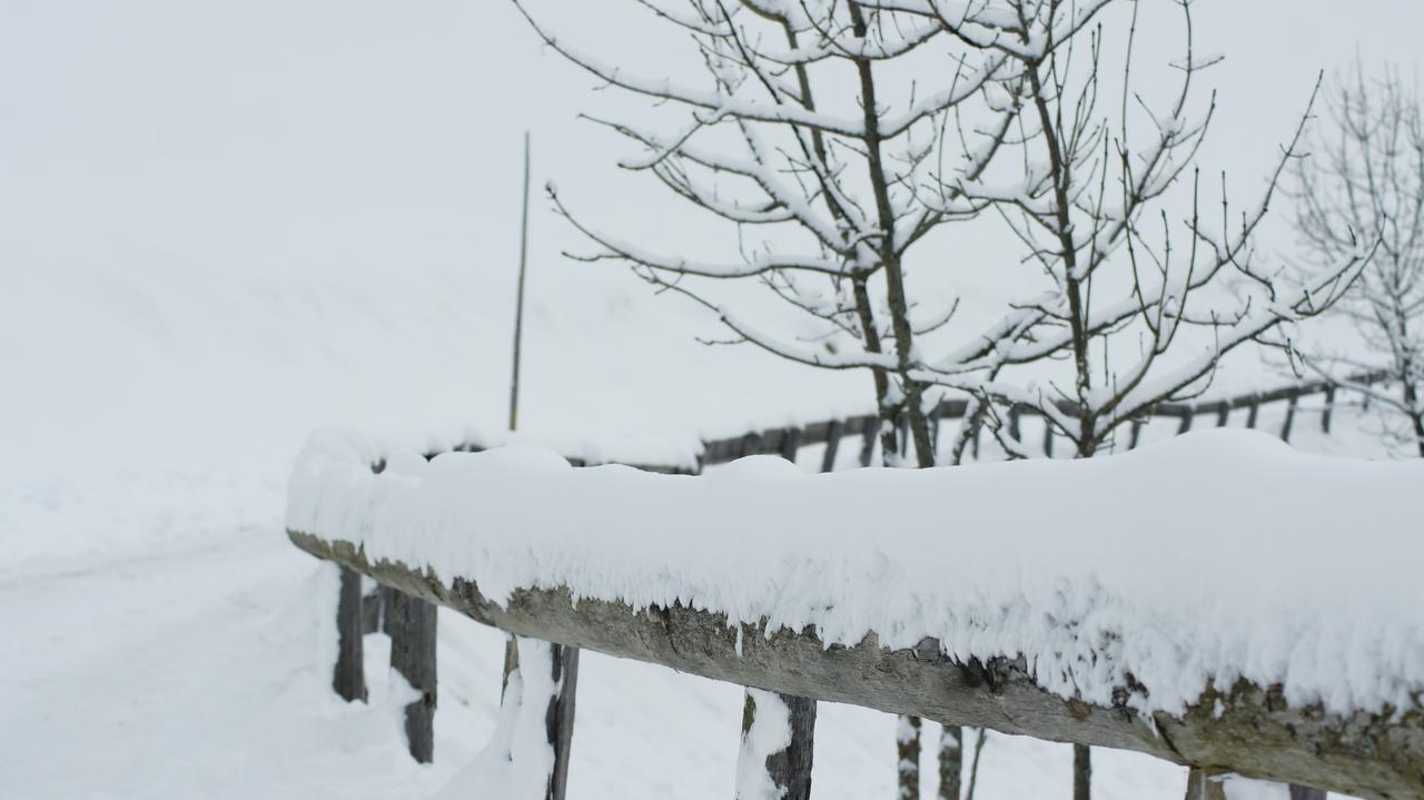 Schrunerhof Ebene Reichenau Zewnętrze zdjęcie